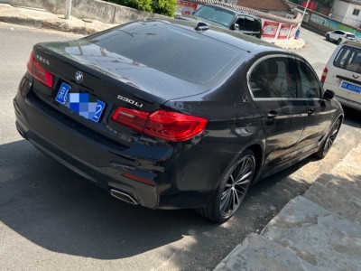 鲸牌链-京牌车长租平台-闲置京牌车长租：11000 元/月 宝马BMW 530Li 5座 汽油小轿车 尾号2 