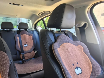 鲸牌链-京牌车长租平台-闲置京牌车长租：3500 元/月 宝马BMW 320I 巴黎购买德产 5座 汽油小轿车 尾号2 