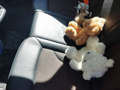 鲸牌链-京牌车长租平台-闲置京牌车长租：3200 元/月 奥迪Q3 5座 汽油小轿车 尾号8 