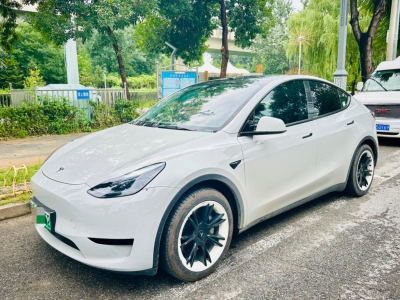 鲸牌链-京牌车长租平台-闲置京牌车长租：5000 元/月 特斯拉毛豆 Y 5座 纯电SUV 尾号2 