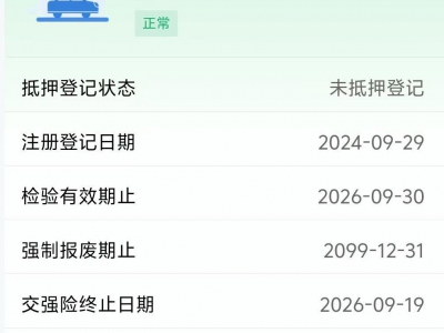 鲸牌链-京牌车长租平台-闲置京牌车长租：2500 元/月 比亚迪海豚 5座 纯电小轿车 尾号9 