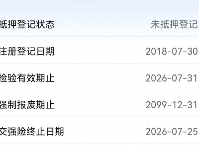 鲸牌链-京牌车长租平台-闲置京牌车长租：5000 元/月 奔驰E300L 5座 汽油小轿车 尾号3 