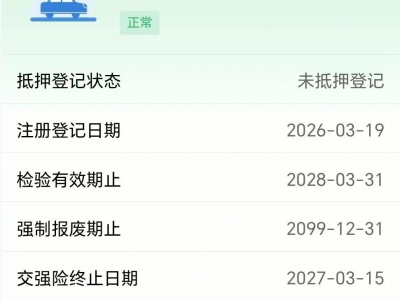 鲸牌链-京牌车长租平台-闲置京牌车长租：4600 元/月 比亚迪汉EV 5座 纯电小轿车 尾号2 