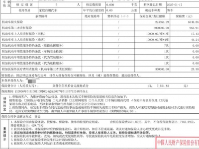 鲸牌链-京牌车长租平台-闲置京牌车长租：6000 元/月 宝马BMW 330 5座 汽油小轿车 尾号6 