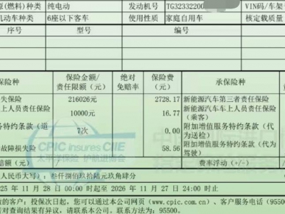 鲸牌链-京牌车长租平台-闲置京牌车长租：4800 元/月 特斯拉Model Y 标续 5座 纯电SUV 尾号6 