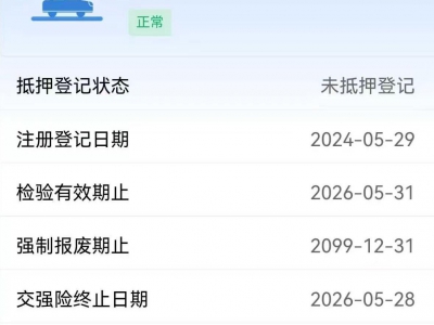 鲸牌链-京牌车长租平台-闲置京牌车长租：2900 元/月 丰田凯美瑞 5座 汽油小轿车 尾号4 
