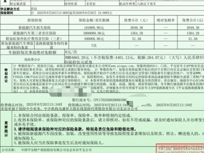 鲸牌链-京牌车长租平台-闲置京牌车长租：4500 元/月 小鹏P7+ 5座 纯电小轿车 尾号1 