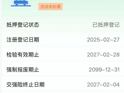 鲸牌链-京牌车长租平台-闲置京牌车长租：4800 元/月 特斯拉model Y 5座 纯电SUV 尾号0 