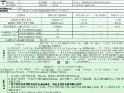 鲸牌链-京牌车长租平台-闲置京牌车长租：2500 元/月 其他哪吒v 5座 纯电小轿车 尾号0 