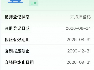 鲸牌链-京牌车长租平台-闲置京牌车长租：3600 元/月 特斯拉model3 标准续航版 5座 纯电小轿车 尾号3 