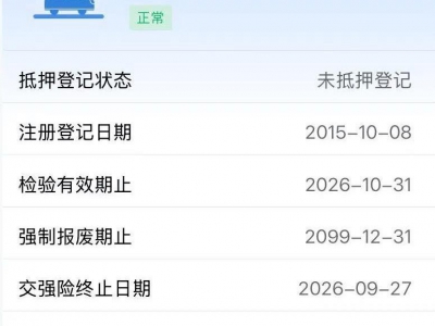 鲸牌链-京牌车长租平台-闲置京牌车长租：2000 元/月 大众帕萨特尊荣 5座 汽油小轿车 尾号1 