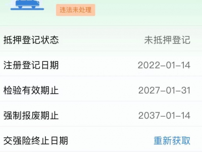 鲸牌链-京牌车长租平台-闲置京牌车长租：3000 元/月 小鹏G3i 5座 纯电小轿车 尾号9 