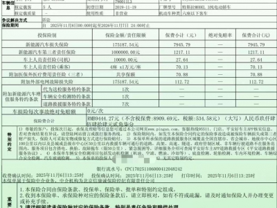 鲸牌链-京牌车长租平台-闲置京牌车长租：3500 元/月 特斯拉model3 四驱长续航 5座 纯电小轿车 尾号2 