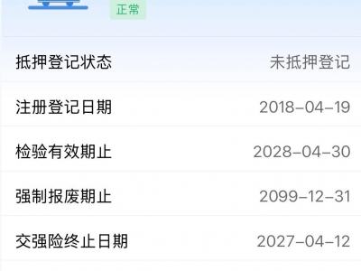 鲸牌链-京牌车长租平台-闲置京牌车长租：3800 元/月 奥迪奥迪A4L 5座 汽油小轿车 尾号5 