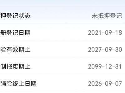 鲸牌链-京牌车长租平台-闲置京牌车长租：6000 元/月 别克GL8 653ES 尊享 7座 汽油商务车 尾号7 