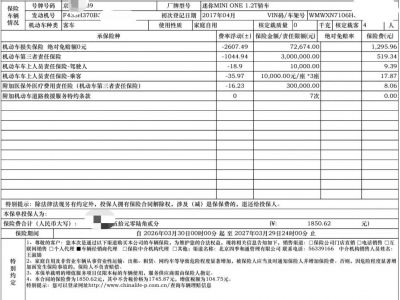 鲸牌链-京牌车长租平台-闲置京牌车长租：4000 元/月 MINIone1.2t 5座 汽油小轿车 尾号9 