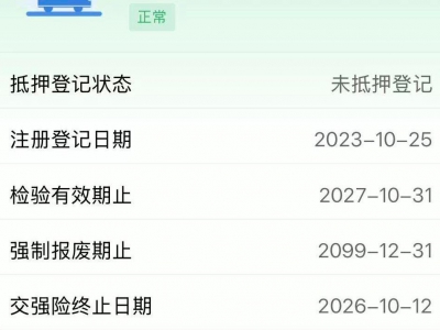 鲸牌链-京牌车长租平台-闲置京牌车长租：4800 元/月 特斯拉modelY 5座 纯电SUV 尾号1 