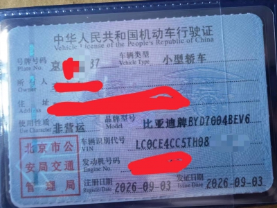 鲸牌链-京牌车长租平台-闲置京牌车长租：3000 元/月 比亚迪海豚自由版本 5座 纯电小轿车 尾号7 