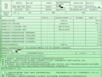 鲸牌链-京牌车长租平台-闲置京牌车长租：3000 元/月 比亚迪海豚自由版本 5座 纯电小轿车 尾号7 