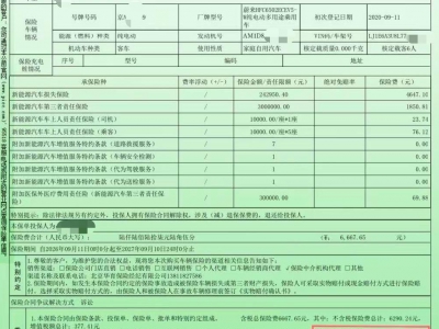 鲸牌链-京牌车长租平台-闲置京牌车长租：4000 元/月 蔚来es8 6座 纯电SUV 尾号9 