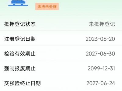 鲸牌链-京牌车长租平台-闲置京牌车长租：5000 元/月 广汽传祺E9 7座 混动MPV 尾号8 