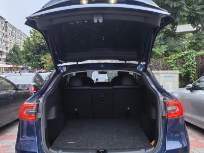 鲸牌链-京牌车长租平台-闲置京牌车长租：3900 元/月 特斯拉Model Y Dual Motor 长续航 5座 柴油小轿车 尾号2 