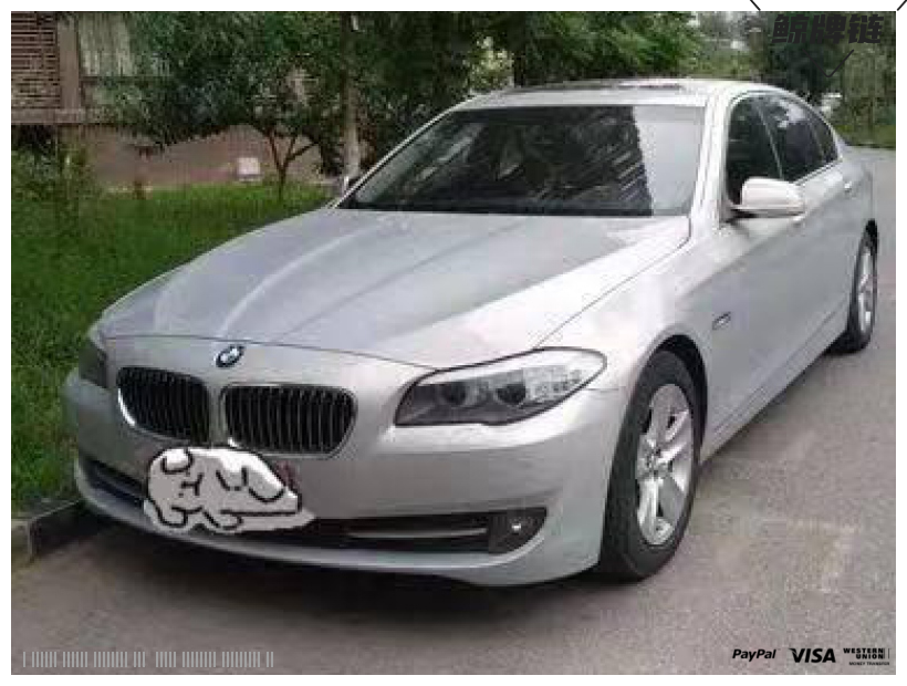 渐变色-闲置京牌车长租：5000 元/月 宝马BMW 528 5座 汽油小轿车 尾号9 