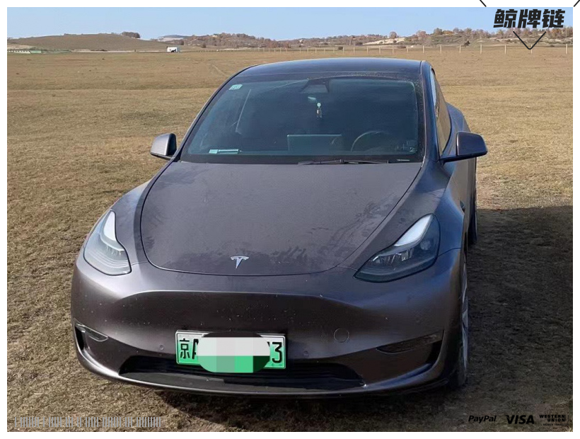 鲸牌链-京牌车长租平台-闲置京牌车长租：6500 元/月 特斯拉Model Y 标续 5座 电动SUV 尾号3 