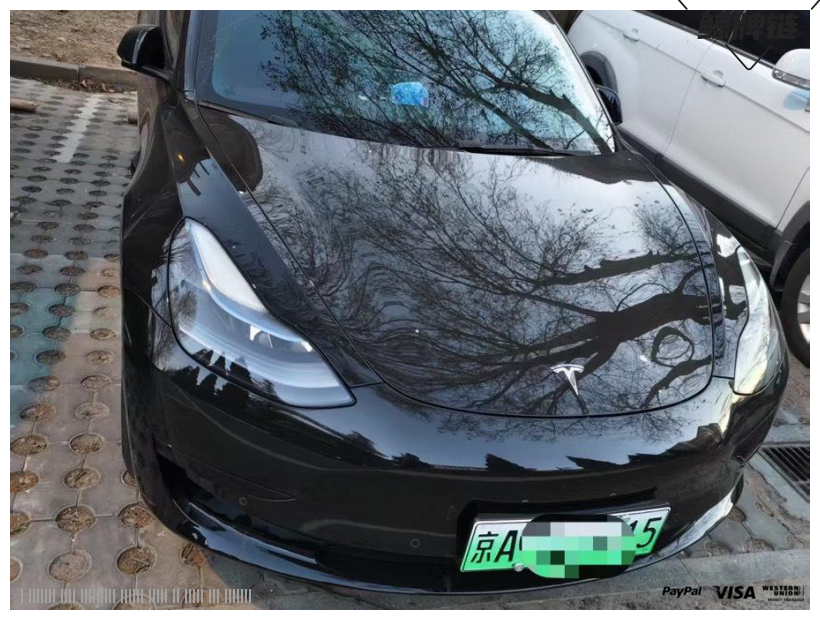 鲸牌链-京牌车长租平台-闲置京牌车长租：5000 元/月 特斯拉Model3 5座 纯电小轿车 尾号5 