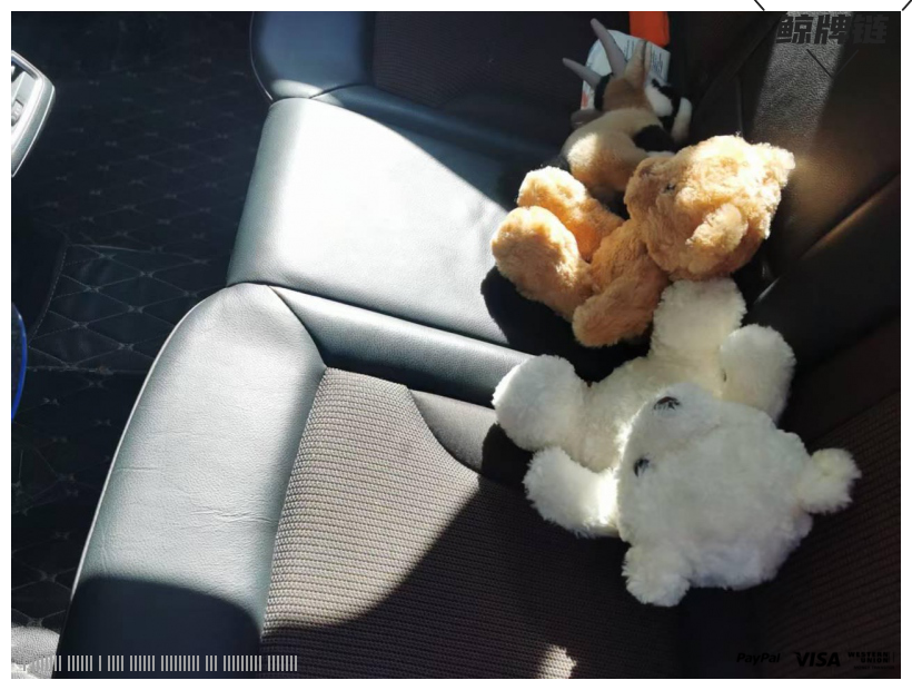 鲸牌链-京牌车长租平台-闲置京牌车长租：3200 元/月 奥迪Q3 5座 汽油小轿车 尾号8 