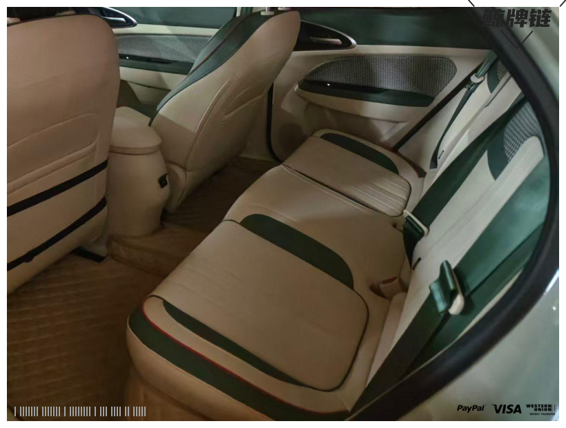 鲸牌链-京牌车长租平台-闲置京牌车长租：3500 元/月 长城欧拉好猫 5座 纯电小轿车 尾号9 