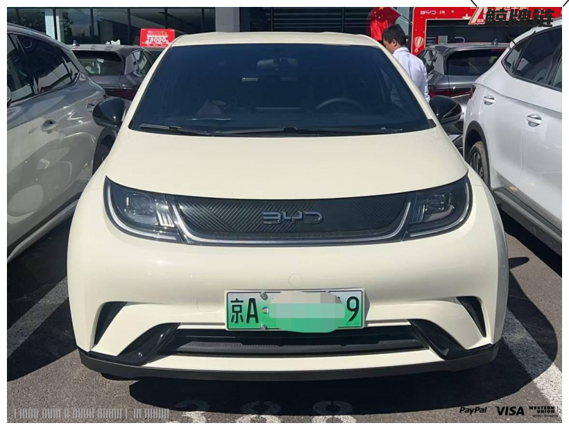 鲸牌链-京牌车长租平台-闲置京牌车长租：2500 元/月 比亚迪海豚 5座 纯电小轿车 尾号9 