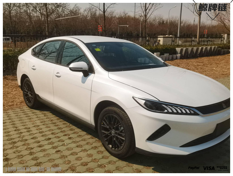 鲸牌链-京牌车长租平台-闲置京牌车长租：3500 元/月 比亚迪秦Plus  EV 510km 5座 纯电小轿车 尾号5 