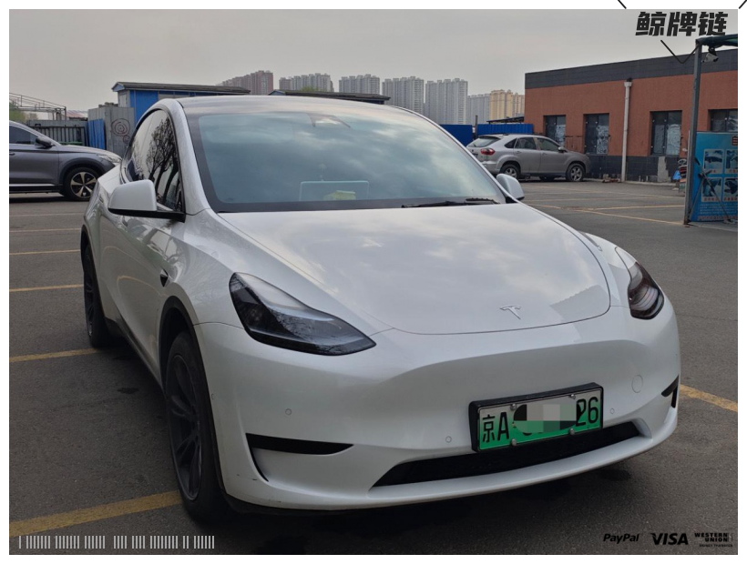 鲸牌链-京牌车长租平台-闲置京牌车长租：4800 元/月 特斯拉Model Y 标续 5座 纯电SUV 尾号6 