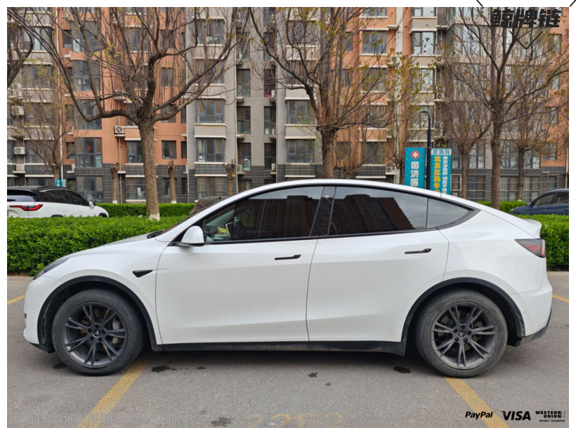 鲸牌链-京牌车长租平台-闲置京牌车长租：4800 元/月 特斯拉Model Y 标续 5座 纯电SUV 尾号6 