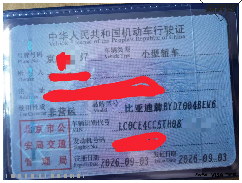 鲸牌链-京牌车长租平台-闲置京牌车长租：3000 元/月 比亚迪海豚自由版本 5座 纯电小轿车 尾号7 